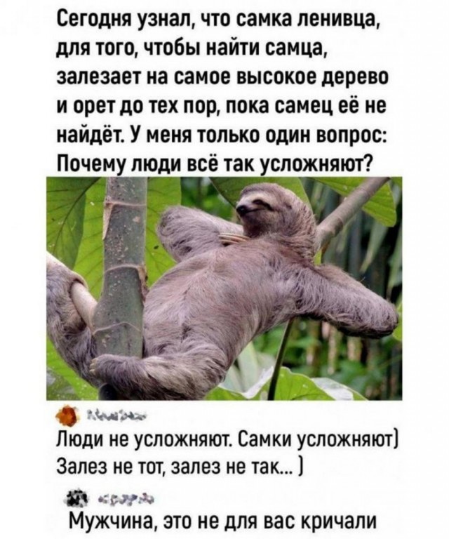 Ставь лайк