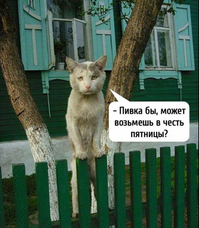 Картинки разные с надписями и без