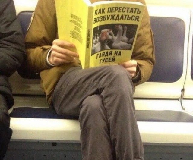 Весёлые картинки