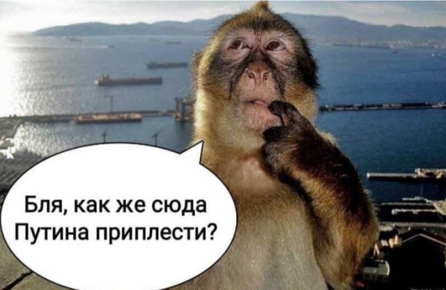 Учебник по самообороне