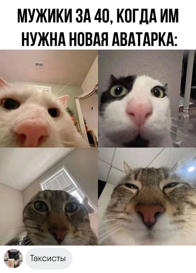 Веселые картинки после длинных выходных (09.01)