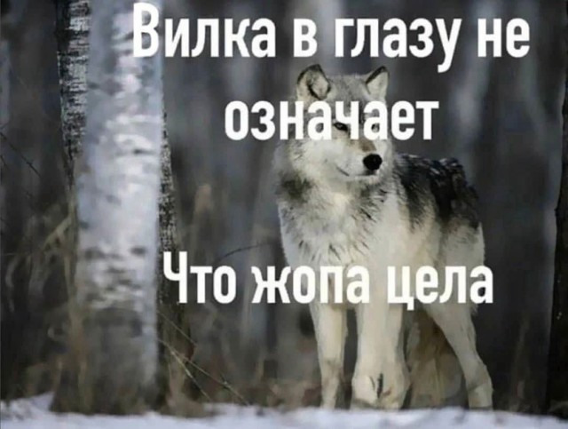 Нуштош 17.01.2025. Чем кажутся совы (s3e2)