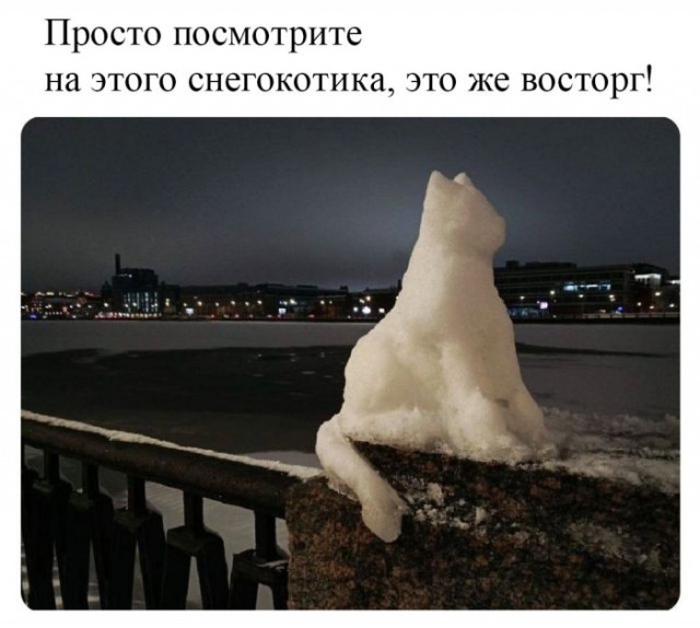 30 картинок на субботу