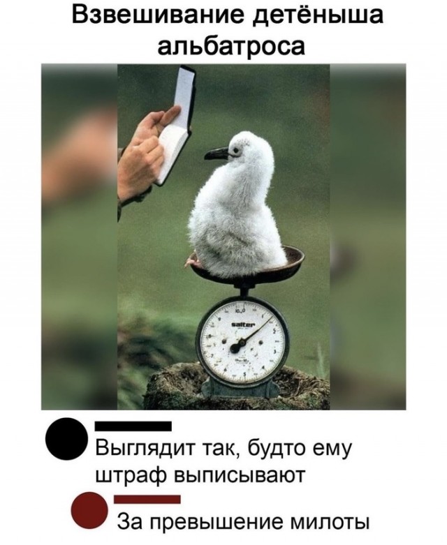 "Поосторожней с дитяткой!"