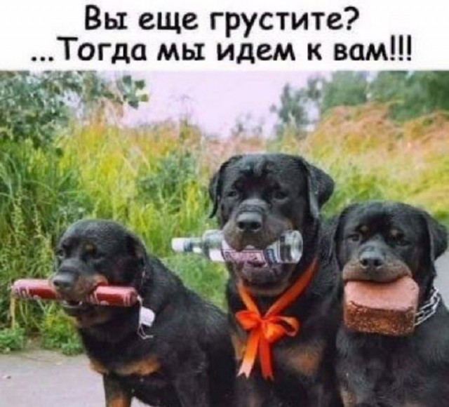 Так себе картинки 14.06.25