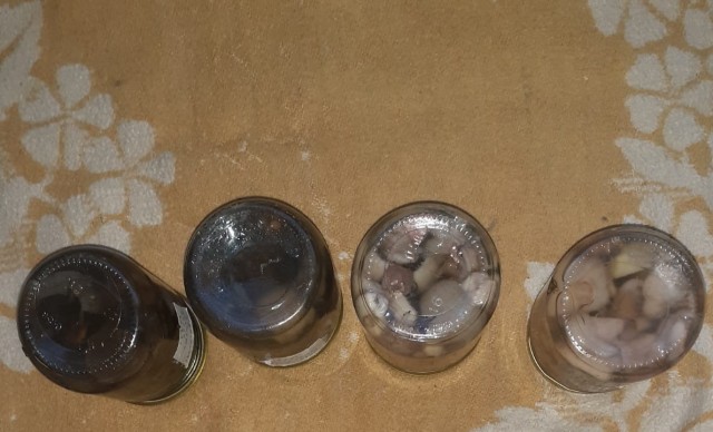 Грибной поход . День второй