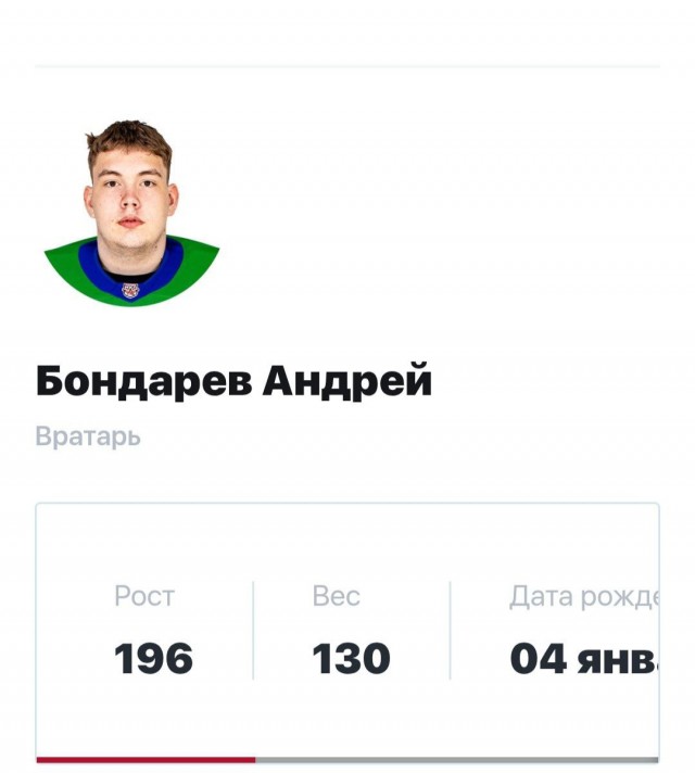 Веселее вы в хоккее* (3)