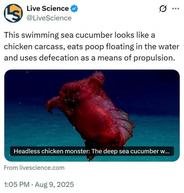 К новостям науки.