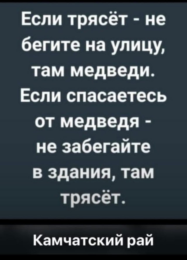 Агрессивный медведь чуть не убил женщину в Петропавловске-Камчатском.