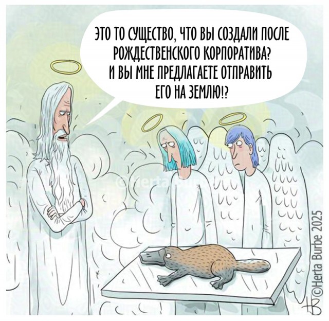 Немного картинок