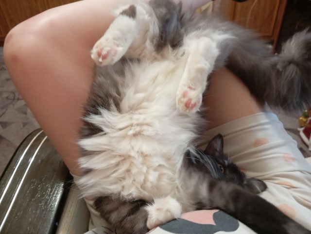 Очень удобно)