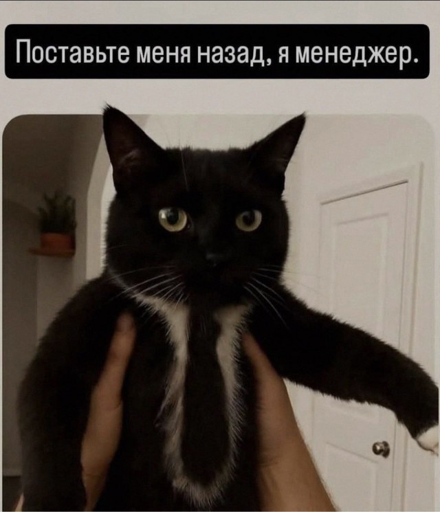 Субботние картинки