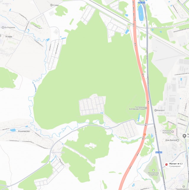 Три мифа о выживании в лесу, которые могут стоить жизни