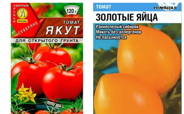 Кто ты сегодня?