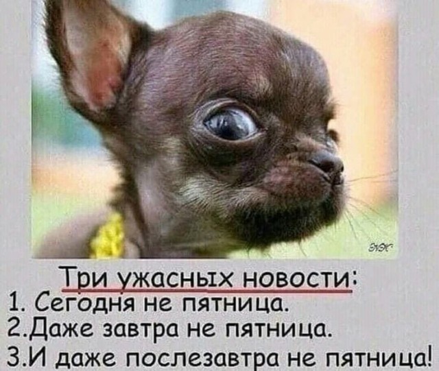 Понедельника картинки