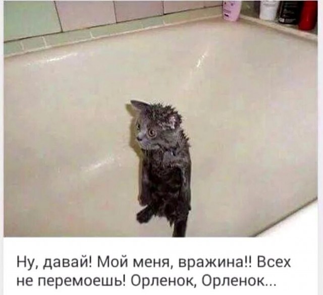 Облей меня полностью