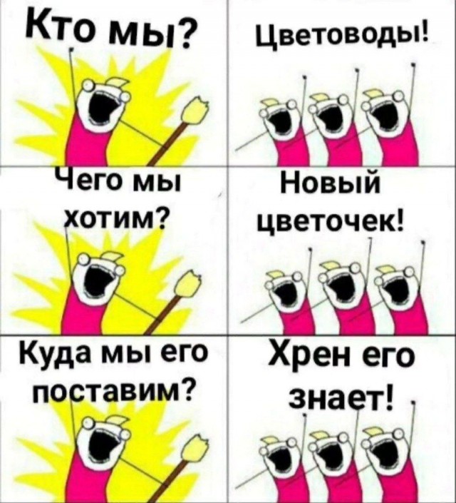 Аспарагусы