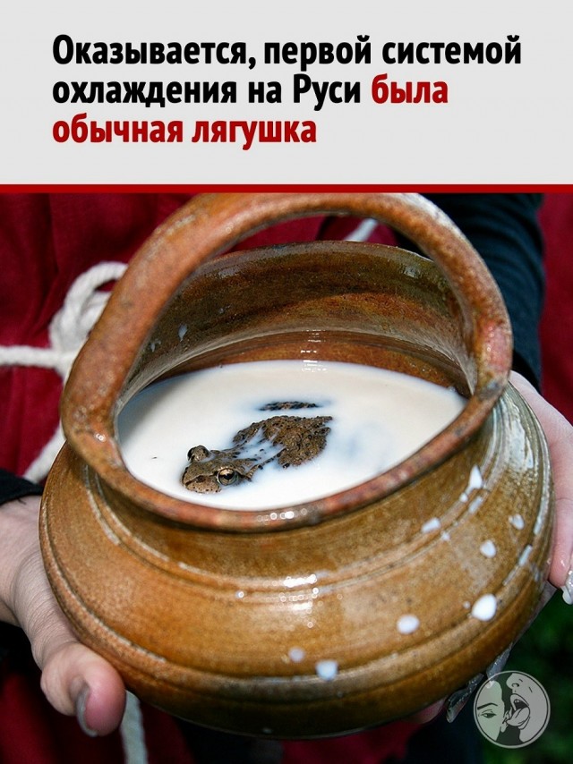 Так себе картинки 24.06.26