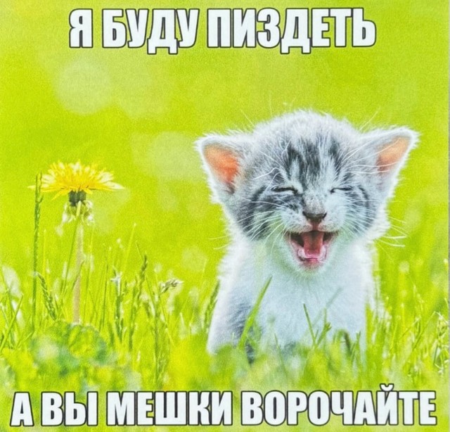 Веселое настроение в картинках 13.08.26