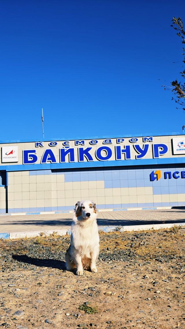 Путешествие в Узбекистан. День 3.