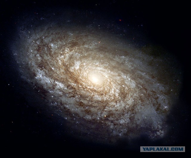 А как же запрет на фашистскую символику?