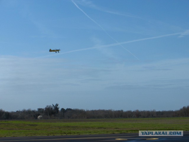 Как я в Англии практику проходил.