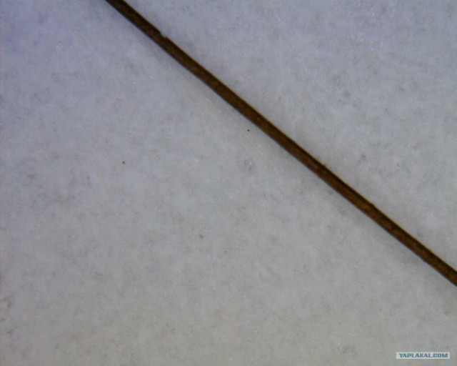 Простые вещи под микроскопом