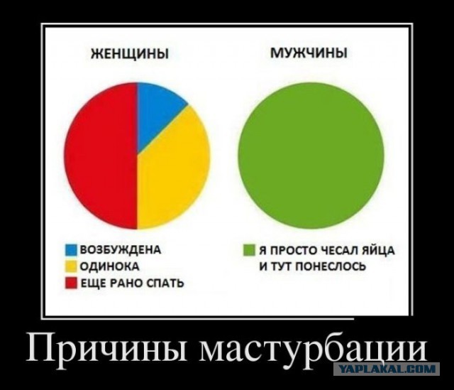 Весёлые картинки