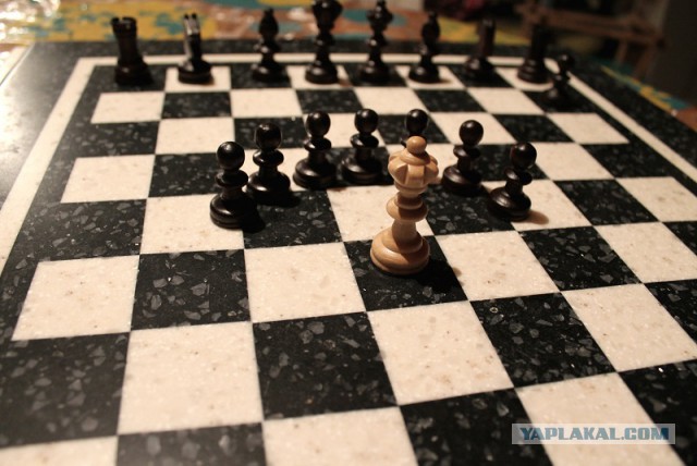 Шахматы, как жизнь