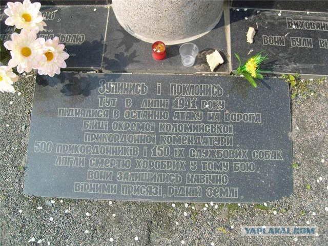 Рукопашный бой людей и собак с фашистами