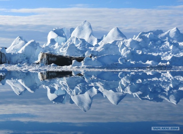 Фотоконкурс National Geographic 2012