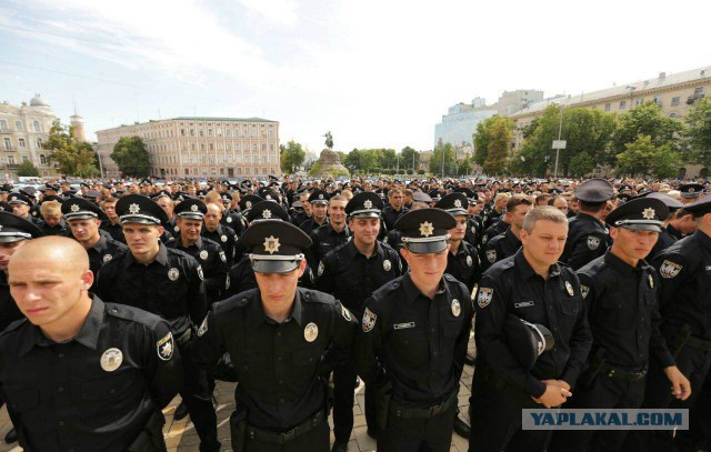 В Киеве представили новых патрульных