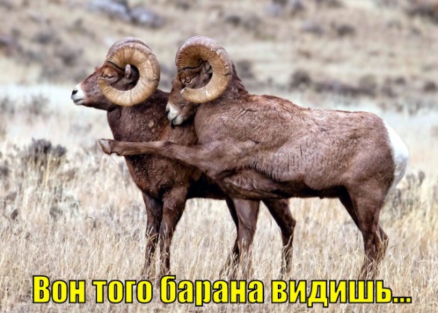 Немного позитива на выходной я начну а вы продолжите