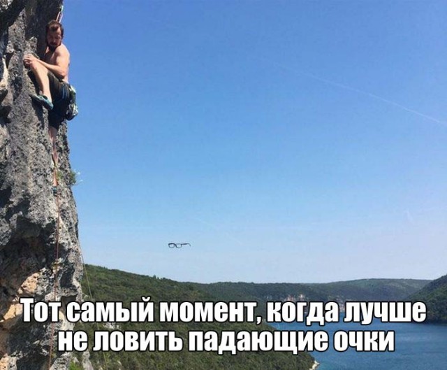 Подборка безудержного веселья
