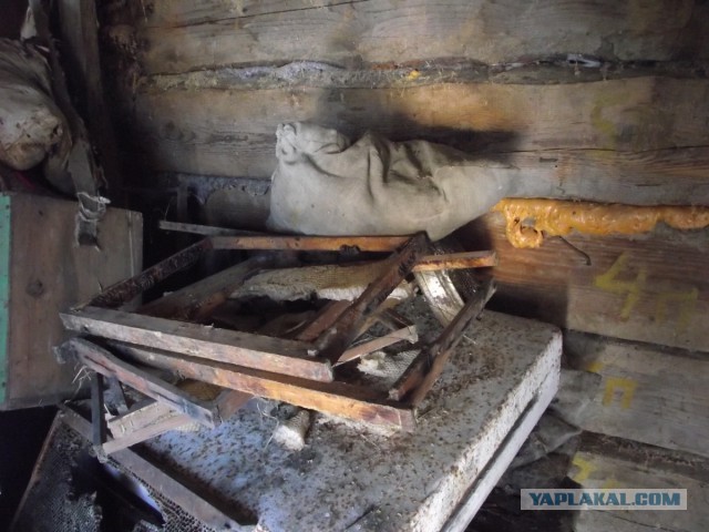Освоение Дальневосточного гектара.