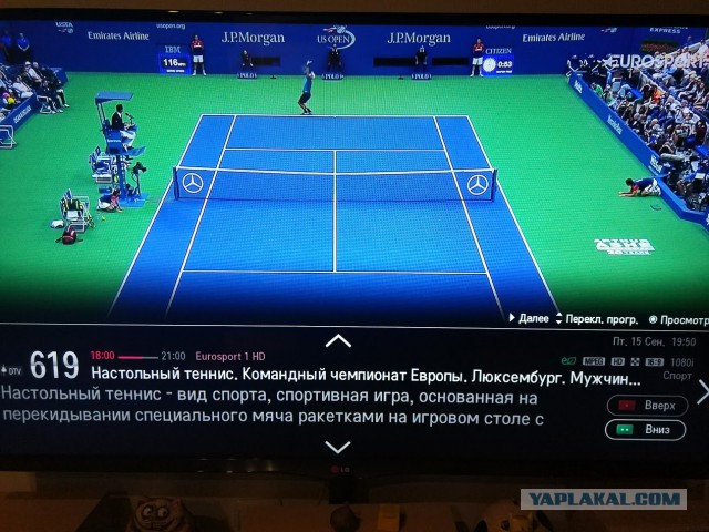 Конкурс "Последнее фото с телефона"