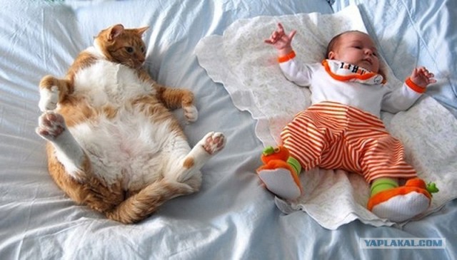 Разговор не мальчика, но мужа ;)