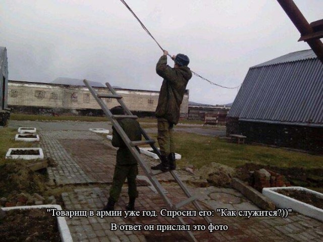 Нестандартный юмор