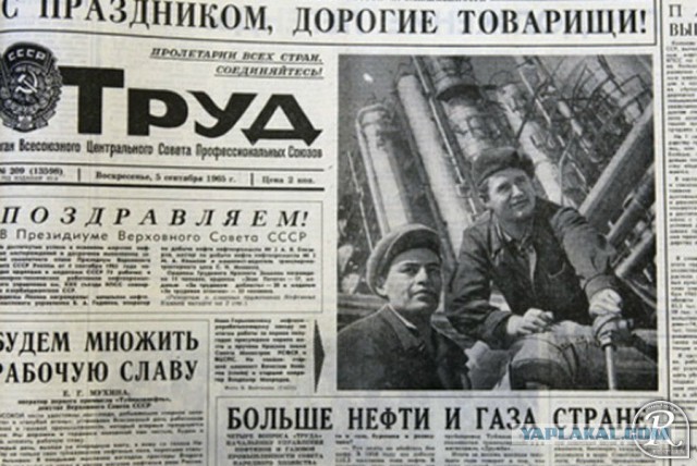 Как появилась туалетная бумага, и чем пользовались до ее изобретения