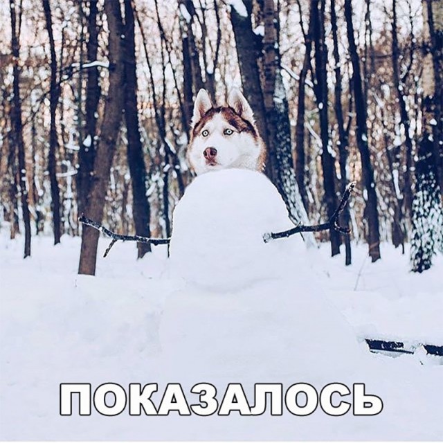 Нестандартный юмор