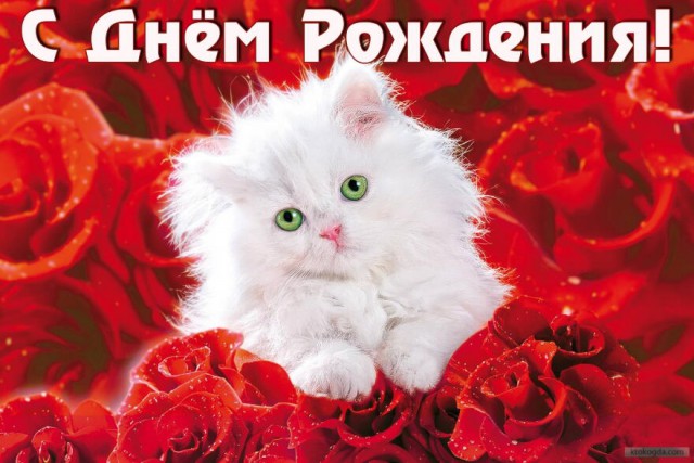 Итоги проверки пользователей