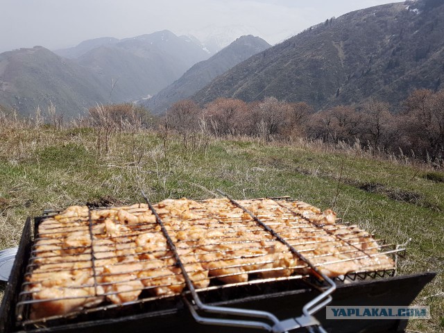 Шашлык, рецепты маринада, все про шашлык!