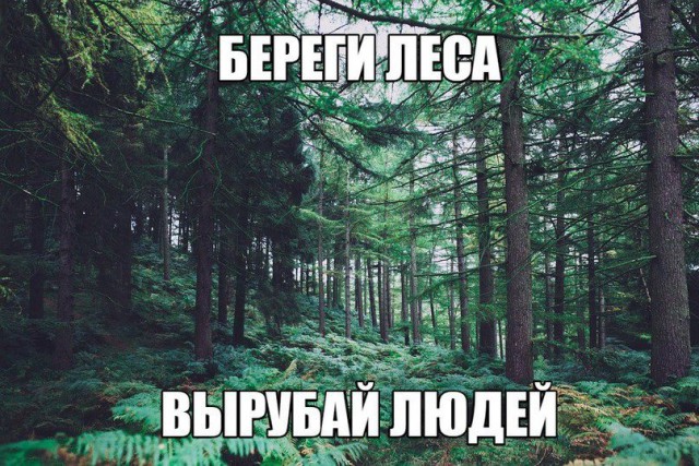 Специфический юмор