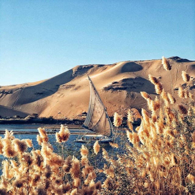 Красивые фото из сети