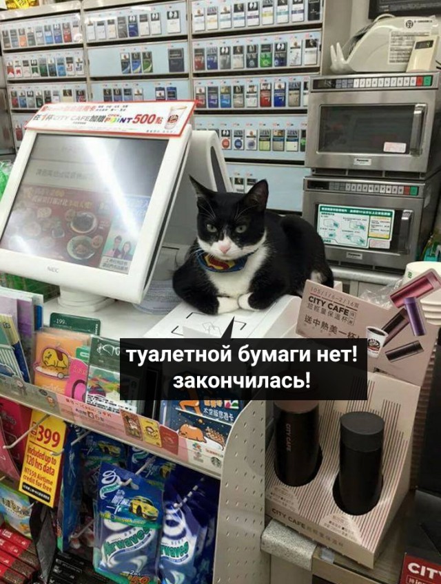 Котофеев пост