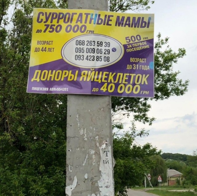 В ЛДНР останется всего несколько шахт. Остальные затопят