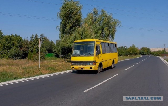 В Украине хотят полностью отменить акциз: растаможка автомобилей резко подешевеет