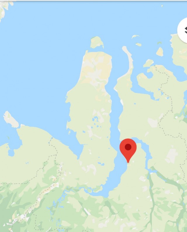 Рыбак нашел скелет непонятного животного у поселка Ямбург