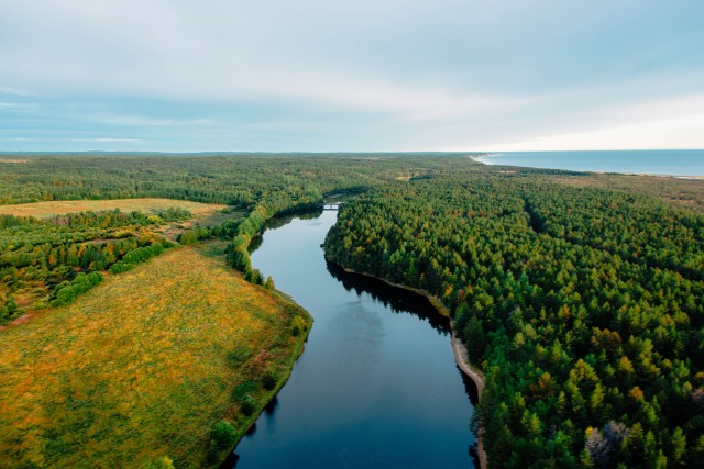 Степановское-Павлищево - погибающая красота