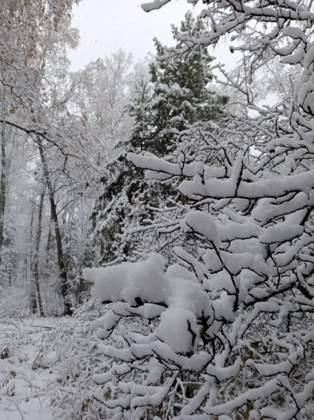 В Красноярск пришла зима
